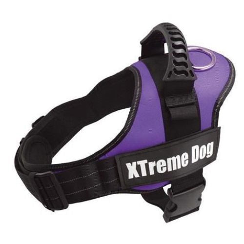Arnes Xtreme Dog Negro Xs (44-57Cm)