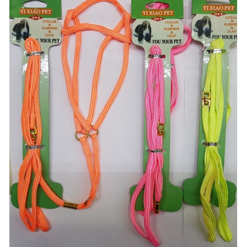 Arnes+Ramal Nylon Exposicion