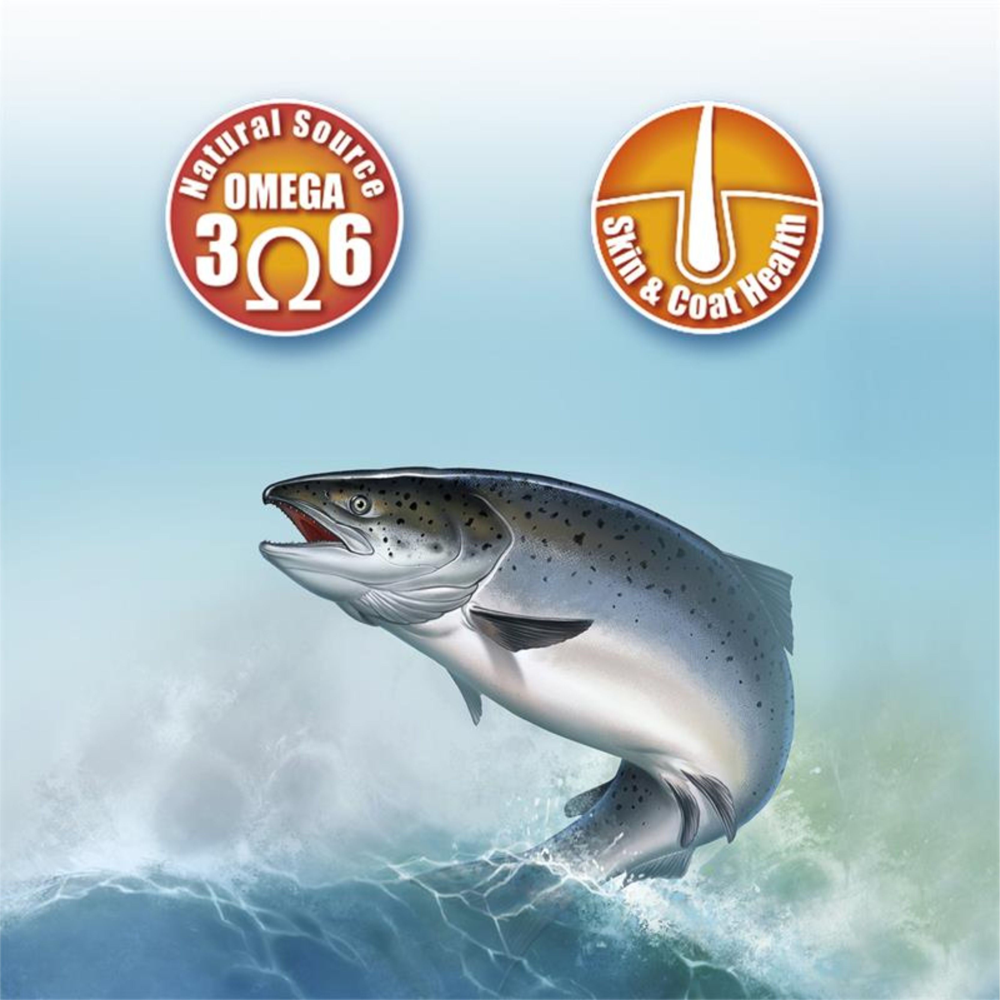 Aceite De Salmon 250Ml. Arquivet