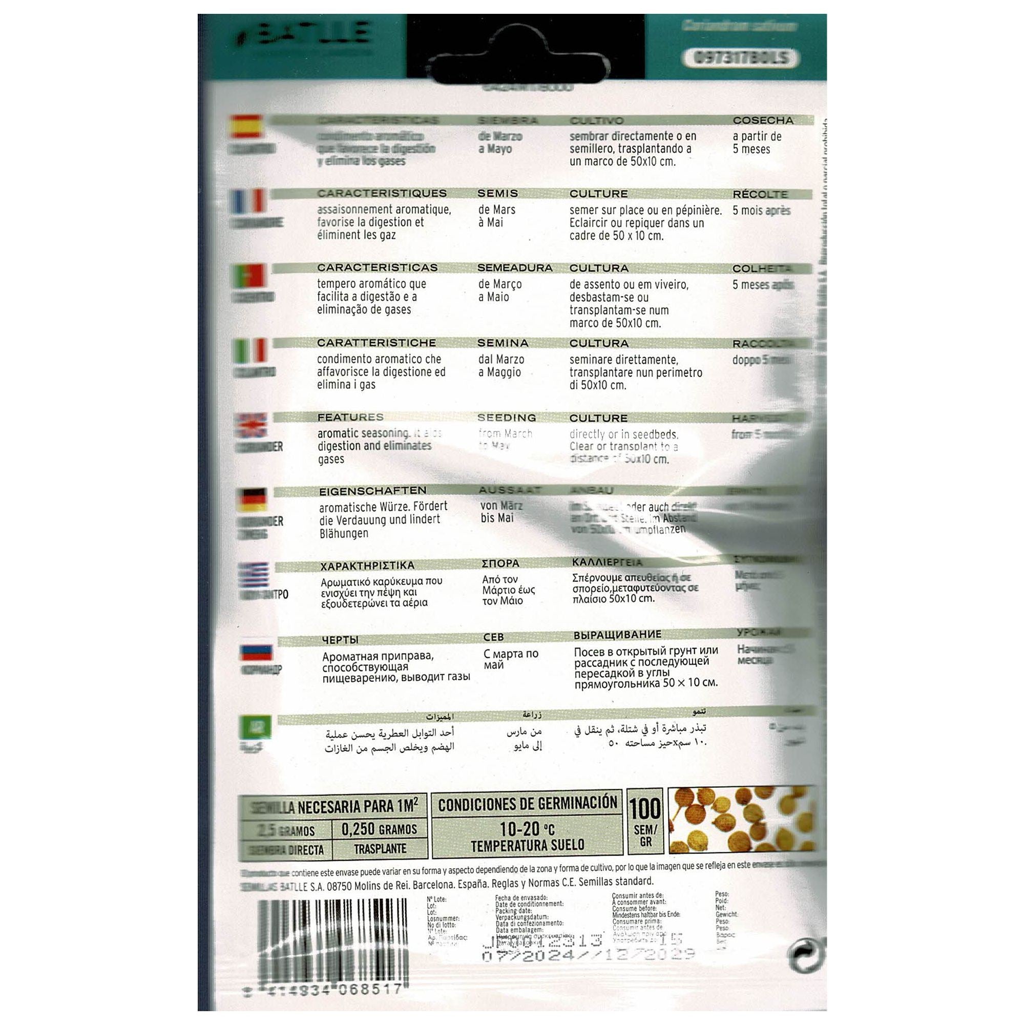 Cilantro Coriandrun Sativun